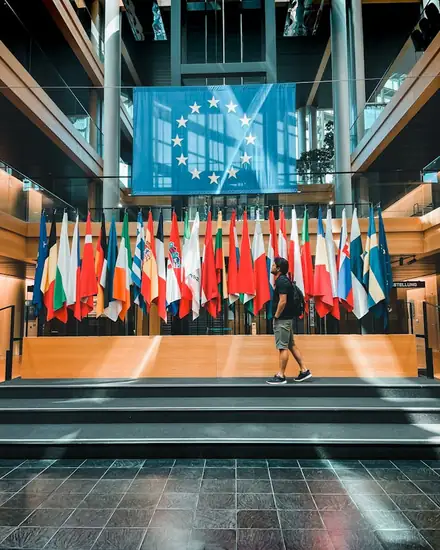 hero-img-02 Interior view of European Parliament with multiple national flags and a person observing.
